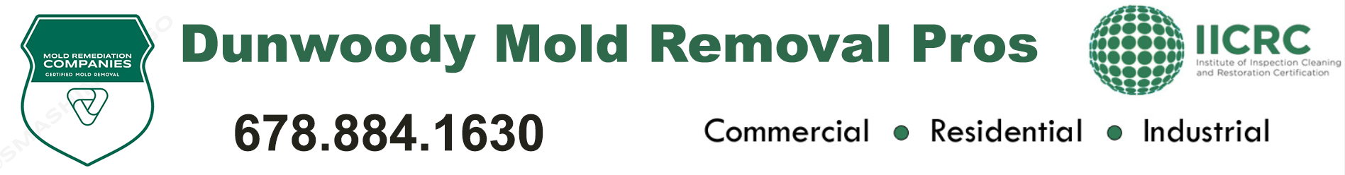 Dunwoody Mold Removal Pros