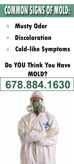 Dunwoody Mold Remediation Contractor